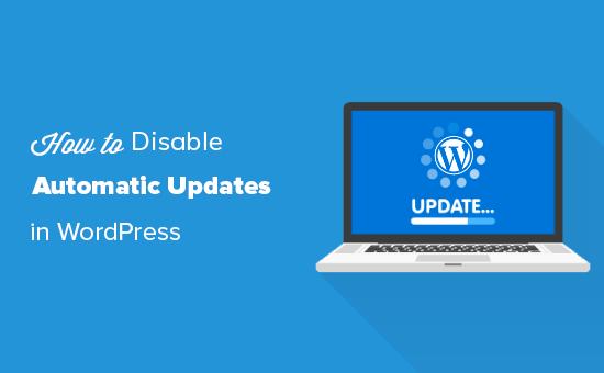 Wordpress disable automatic update